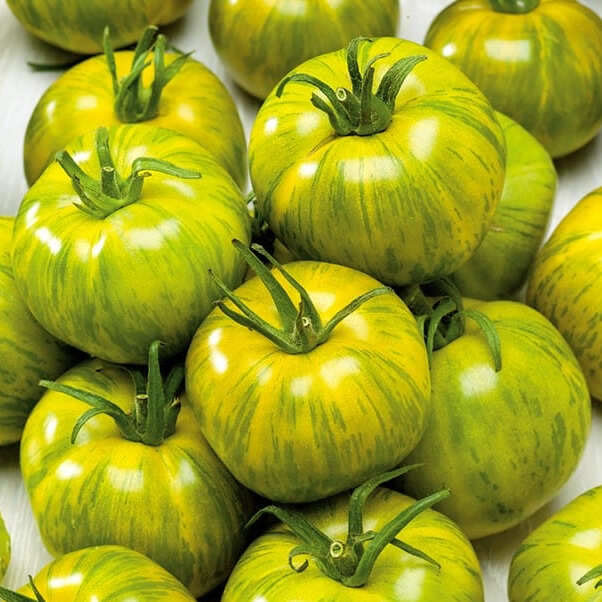 Tomato Smarald