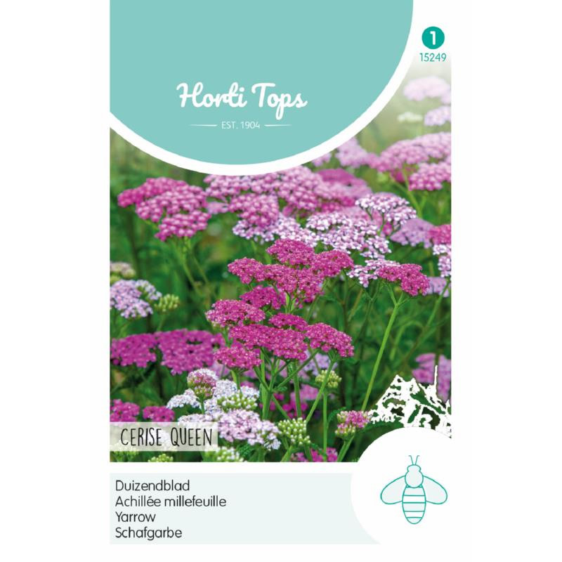 HT Achillea Yarrow seeds Cerise Queen 0.08g