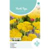 HT Achillea Yarrow seeds Cloth Of Gold 0.25g