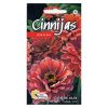 zinnia bordeaux seeds