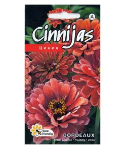zinnia bordeaux seeds