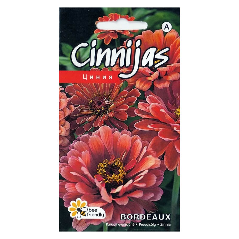 zinnia bordeaux seeds