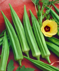 Okra Burgundy Abelmoschus