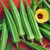 Okra Burgundy Abelmoschus