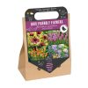 Bird Friendly Flowers