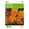 Buzzy Dwarf African Marigold Bolero