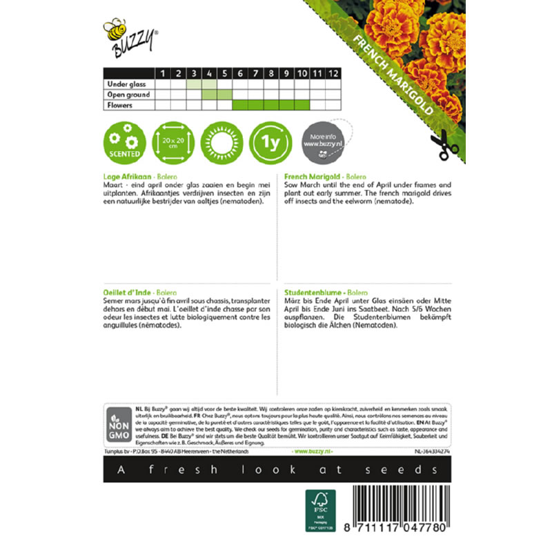 Buzzy Tagetes Dwarf African Marigold Bolero Seeds 1g - Image 3
