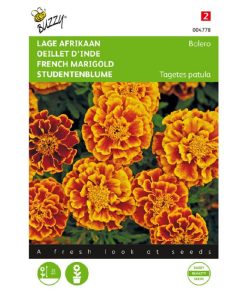 Alternative view of Buzzy Tagetes Dwarf African Marigold Bolero Seeds 1g
