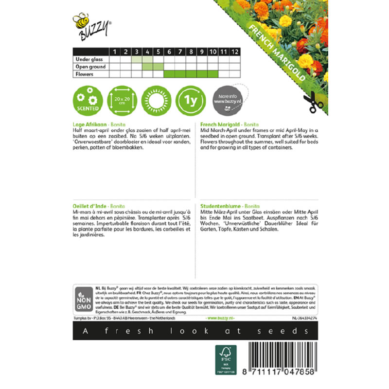 Buzzy Tagetes Dwarf African Marigold Bonita Seeds 1g - Image 3