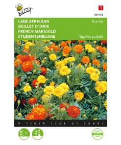 Alternative view of Buzzy Tagetes Dwarf African Marigold Bonita Seeds 1g