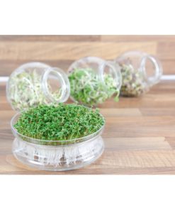 Alternative view of Buzzy Organic Sprouting Pot Spicy Salad Microgreens 7.5g