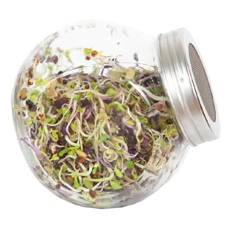 Buzzy Organic Sprouting Pot Spicy Salad Microgreens 7.5g - Image 4
