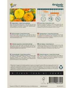 Buzzy Organig Marigold Sunset Giants2