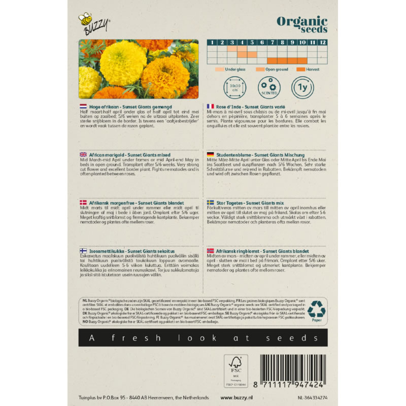 Buzzy Organig Marigold Sunset Giants2