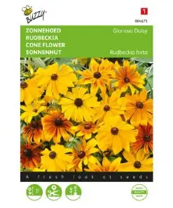 Rudbeckia Gloriosa Daisy