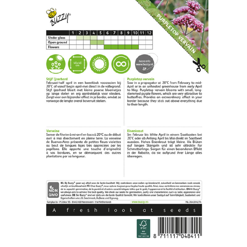 Buzzy Stiff Verbena Seeds 0.4g - Image 3