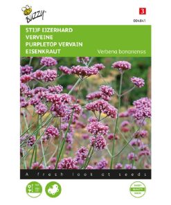 Buzzy Stiff Verbena