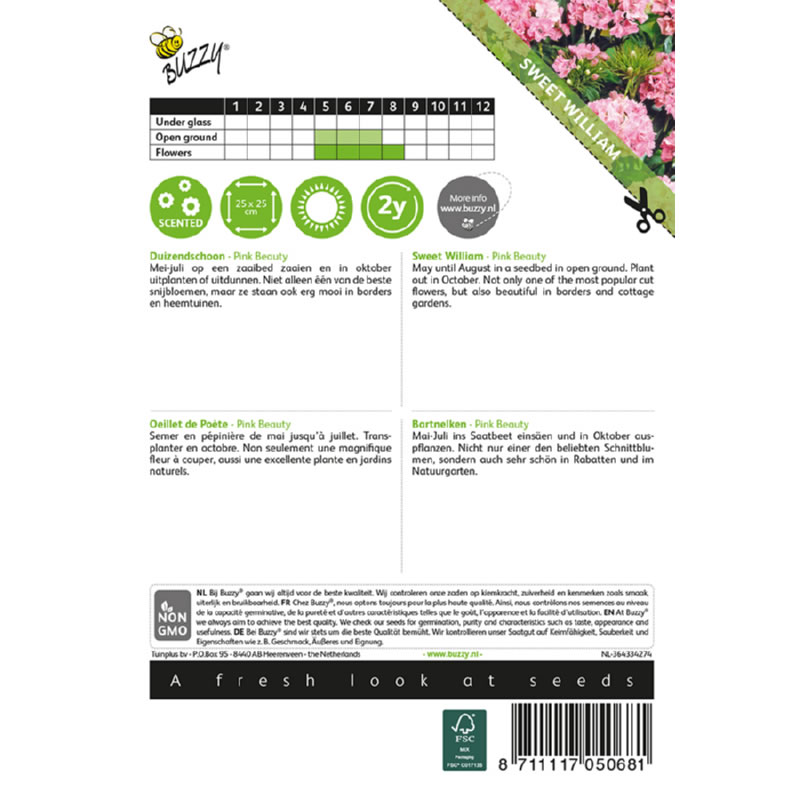 Buzzy Sweet William Pink Beauty