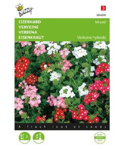 Buzzy Verbena Mixed