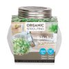Daikon Microgreens