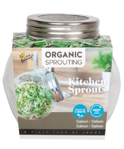 Daikon Microgreens