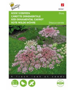 Red Ornamental Carrot