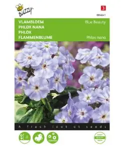 Phlox Blue Beauty