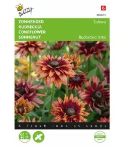 Rudbeckia Sahara Coneflower