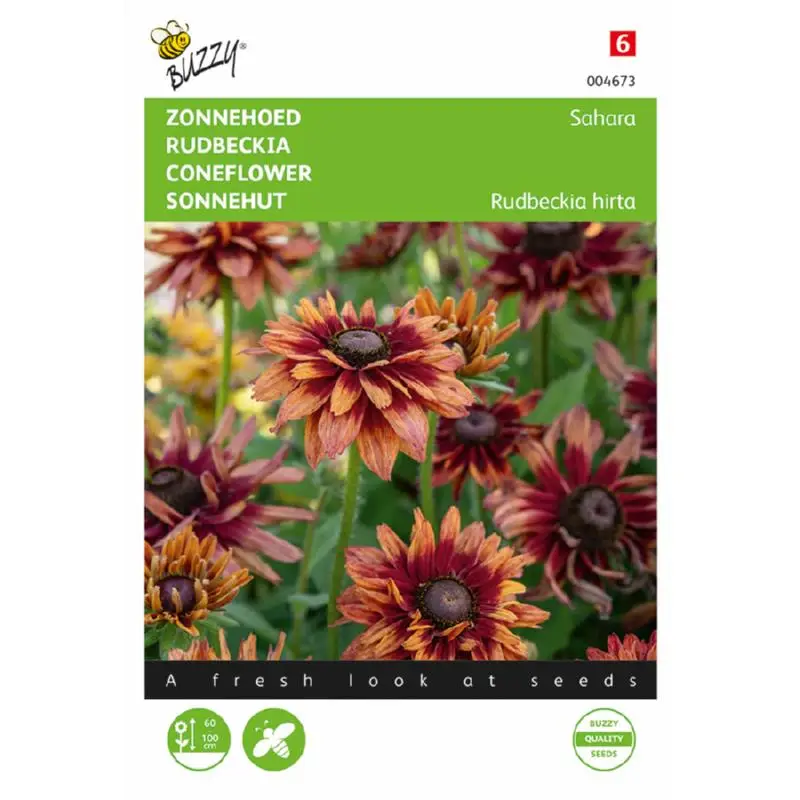 Rudbeckia Sahara Coneflower
