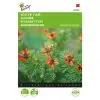 buzzy adonis red