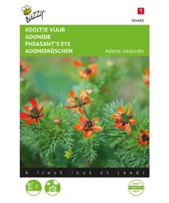 buzzy adonis red