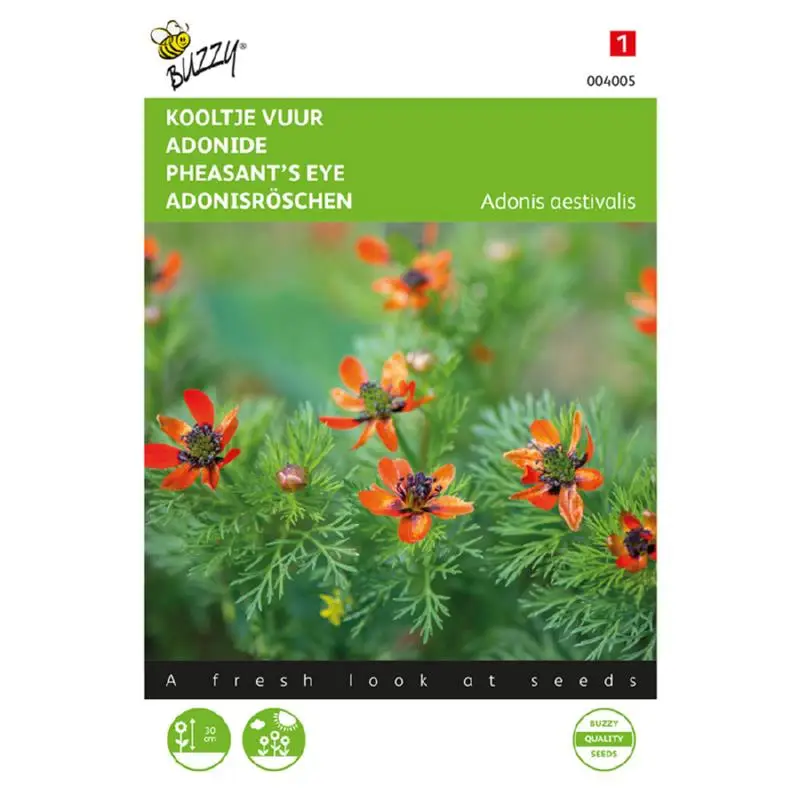 buzzy adonis red