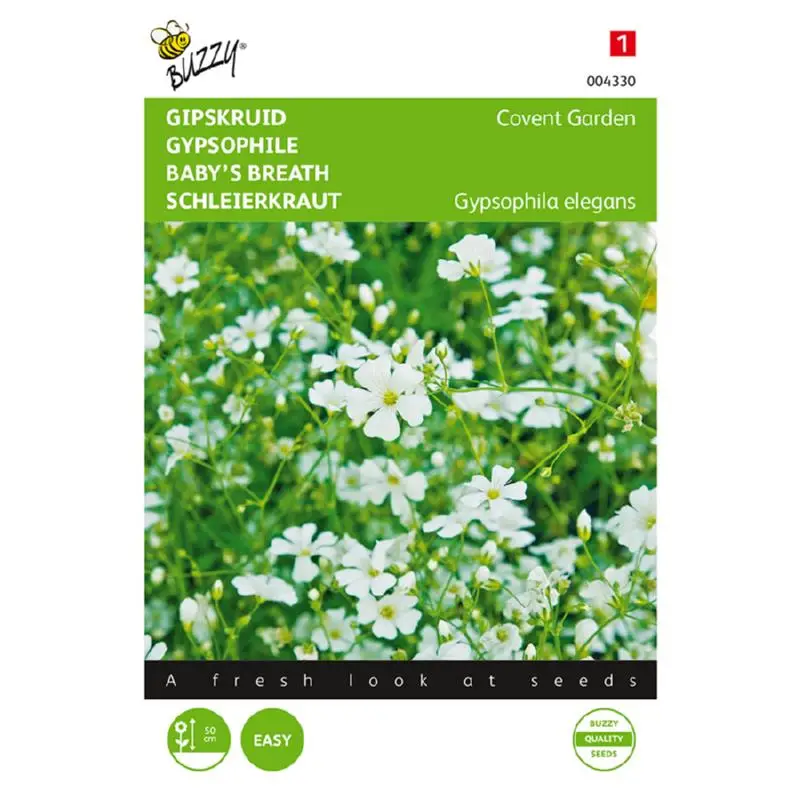 Gypsophila Covent Garden