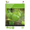 Bubble Vine