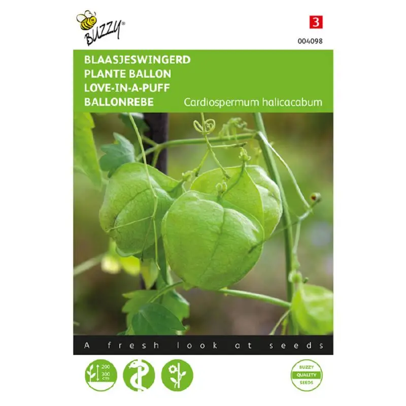 Bubble Vine