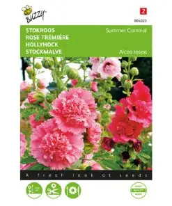 buzzy hollyhock summer carnival