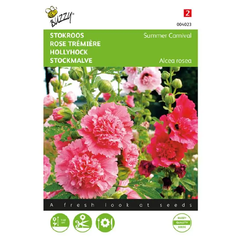 buzzy hollyhock summer carnival