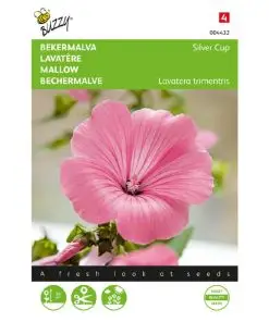 Lavatera Silver Cup