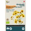 Organic Coreopsis Seeds