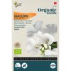 Organic Lavatera seeds