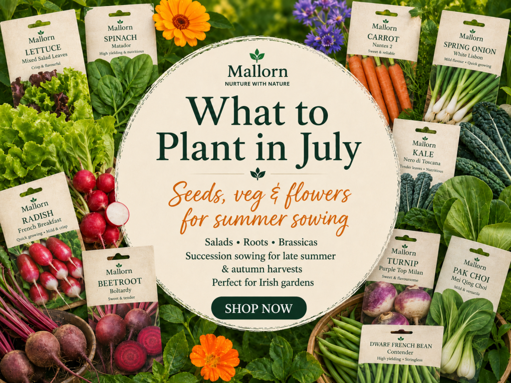 what to plant in july