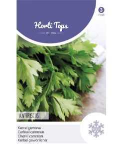 Alternative view of HT Chervil Seeds (Common Chervil) 5g