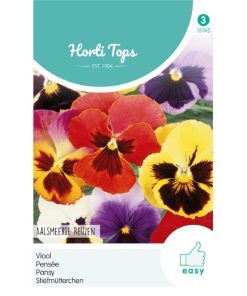 Pansy Aalsmeer Giants