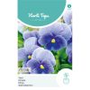 HT Pansy Celestial seeds