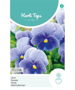 HT Pansy Celestial seeds
