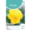 Pansy Coronation Gold