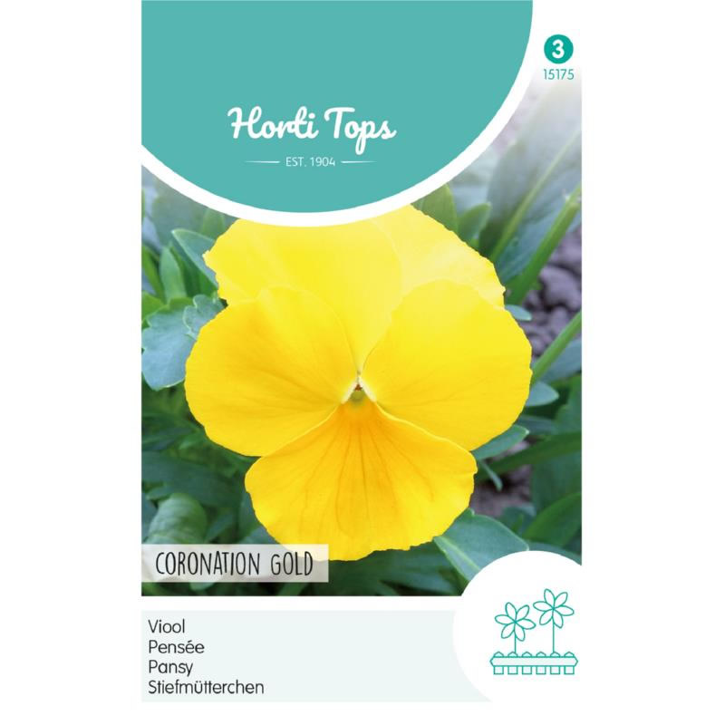 Pansy Coronation Gold