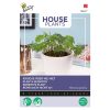 Touch me not mimosa Senetive plant seeds