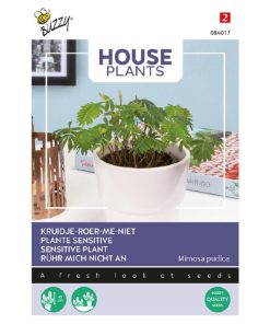 Touch me not mimosa Senetive plant seeds