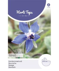 Alternative view of HT Borage Seeds 2g